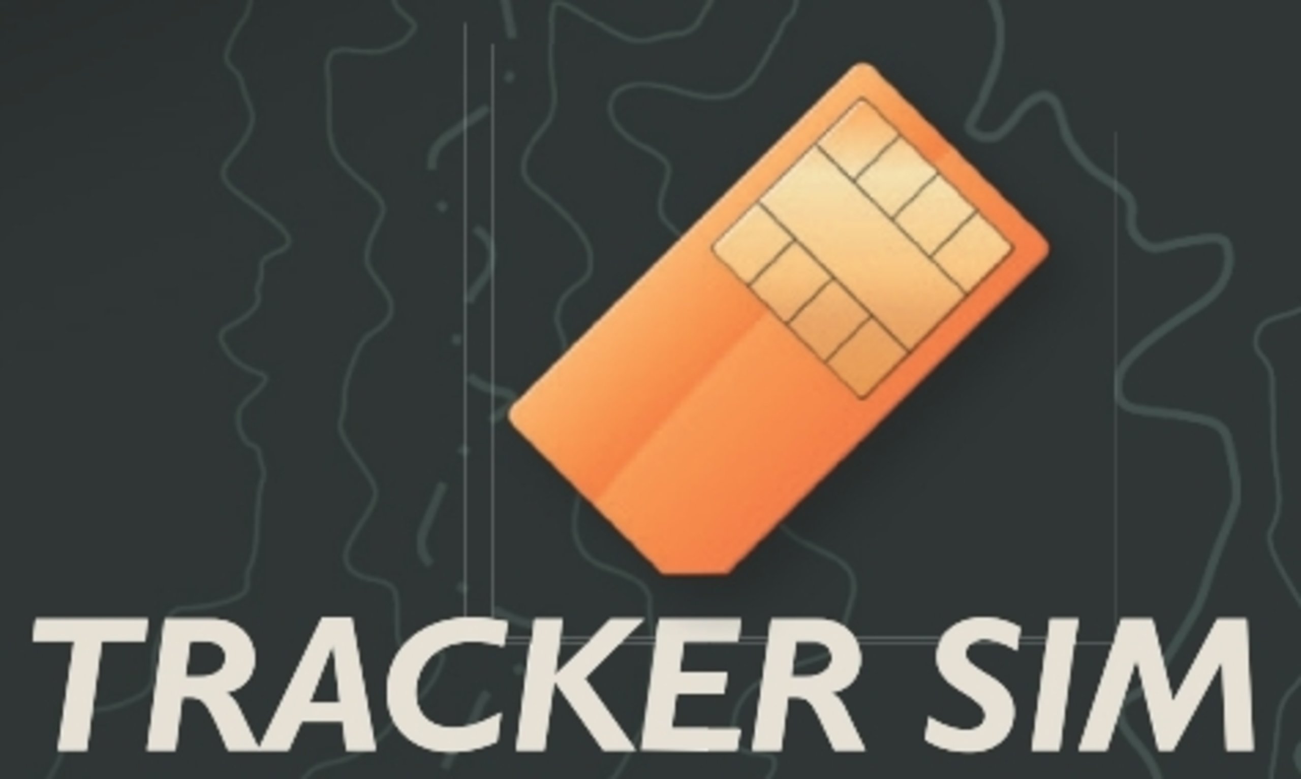 The Role of SIM Tracking in Protecting Your Digital Identity