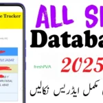 Real-Time SIM Database Online Tracker