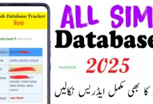 Real-Time SIM Database Online Tracker