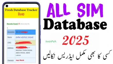 Real-Time SIM Database Online Tracker